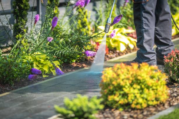 Trusted Southchase, FL Pressure Washing Experts